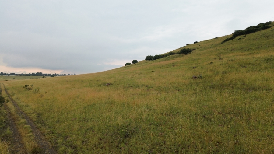 Commercial Property for Sale in Villiers Free State
